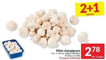 Intermarché Witte champignons aanbieding