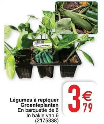 Cora Légumes à repiquer groenteplanten aanbieding