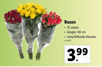 Lidl Rozen aanbieding
