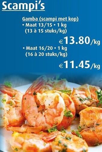 Aronde Scampi’s aanbieding