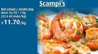 Aronde Scampi’s aanbieding