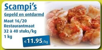 Aronde Scampi’s aanbieding