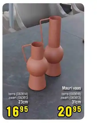 Happyland Mauri Vaas aanbieding