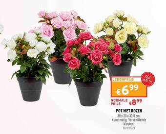 Trafic Pot Met Rozen aanbieding