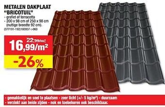 Hubo Metalen dakplaat bricotuil aanbieding