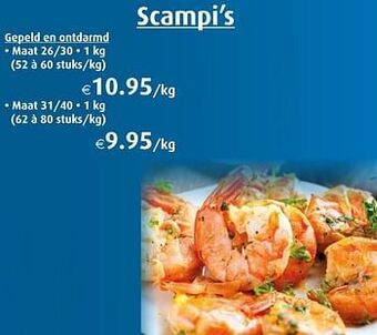 Aronde Scampi’s aanbieding