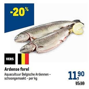 Makro Ardense forel aanbieding