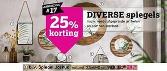Leen Bakker Spiegel joshua aanbieding