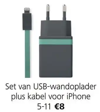 Set van usb-wandoplader plus kabel voor iphone