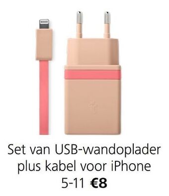 Set van usb-wandoplader plus kabel voor iphone