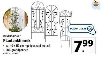 Lidl Plantenklimrek aanbieding