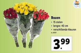 Lidl Rozen aanbieding