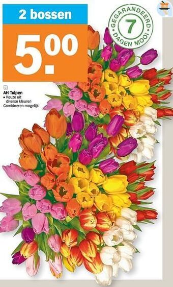 Albert Heijn Ah tulpen aanbieding