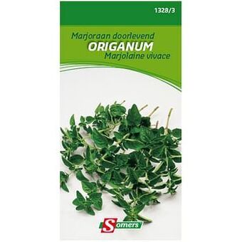 Brico Somers zaad pakket marjoraan ’Origanum’ doorlevend aanbieding