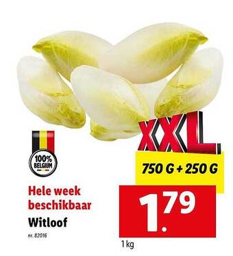 Lidl Witloof aanbieding
