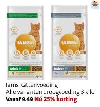 Intratuin Iams kattenvoeding aanbieding