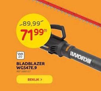 Brico Bladblazer aanbieding