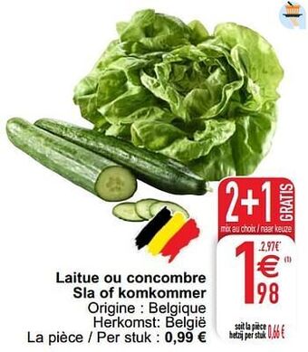 Cora Laitue ou concombre sla of komkommer aanbieding