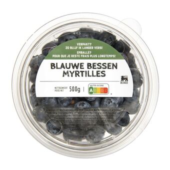 Blauwe bosbessen | Pot