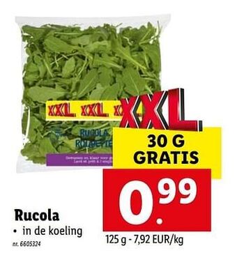 Rucola
