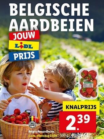 Lidl Belgische aardbeien aanbieding
