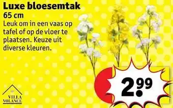 Kruidvat Luxe bloesemtak 65cm aanbieding