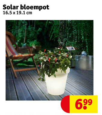 Kruidvat Solar bloempot aanbieding