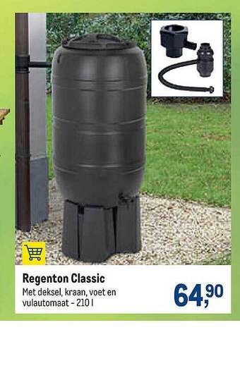 Regenton Classic