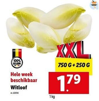 Lidl Witloof aanbieding