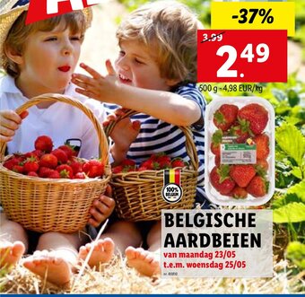 Lidl Belgische Aardbeien aanbieding