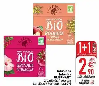 Cora Infusions infusies elephant aanbieding