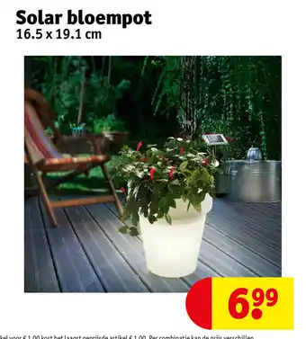 Kruidvat Solar bloempot aanbieding