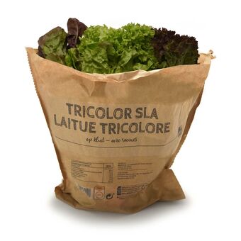 Delhaize Trio van sla | Kluit aanbieding