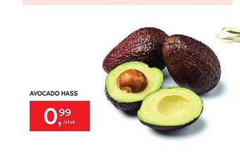 Avocado Hass