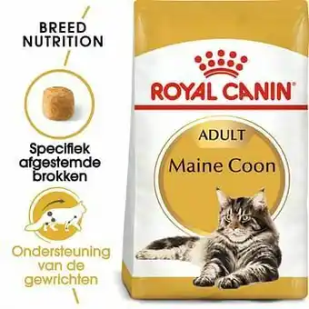 Zooplus 10kg Maine Coon Adult Royal Canin Breed Kattenvoer aanbieding