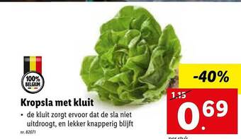 Kropsla Met Kluit
