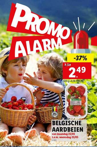 Belgische Aardbeien