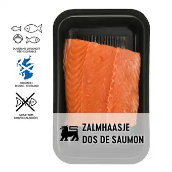 Delhaize Zalm | Haasje | Atlantisch-Schotland aanbieding