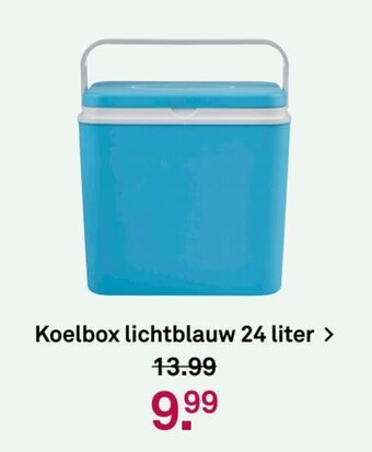 Koelbox lichtblauw 24 liter