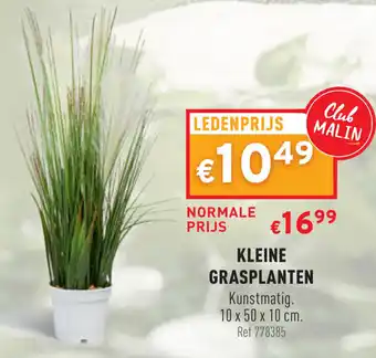 Trafic Club Malin Kleine grasplanten 10*50*10 cm aanbieding