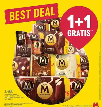 Delhaize Roomijs Ola Magnum aanbieding