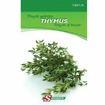 Brico Somers zaad pakket thym winter ’Thymus’ aanbieding