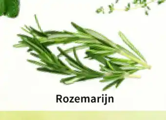 Horta Assortiment Kruiden Rozemarijn aanbieding