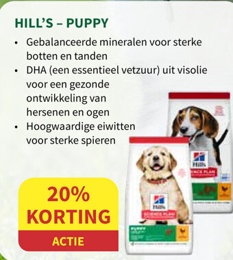 Horta Hill's - Puppy aanbieding