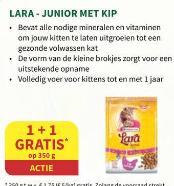 Horta Lara - Junior Met Kip aanbieding