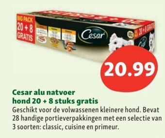 Maxi Zoo Cesar alu natvoer hond 20 + 8 stuks gratis aanbieding