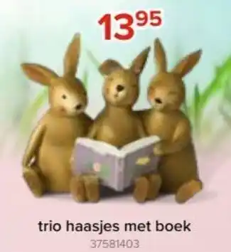 Euroshop Trio haasjes met boek aanbieding