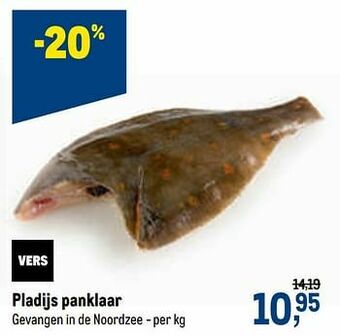 Makro Pladijs panklaar aanbieding