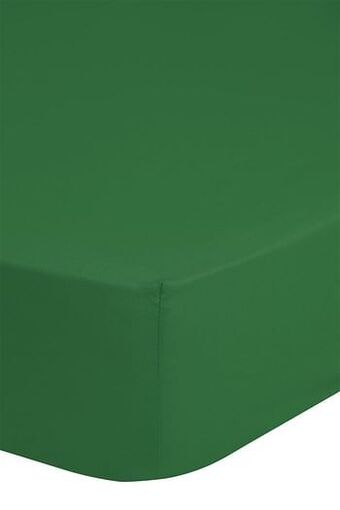 De Matrassen Gigant Hoeslaken 200x220 Good Morning jersey groen aanbieding