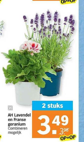 Albert Heijn AH Lavendel En Franse Geranium aanbieding